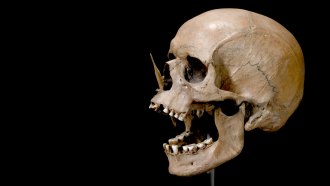 A skull with an arrow shot through the nose is displayed on a black background. The Danish bog skull, known as Porsmose Man, dates to around 4,600 years ago.