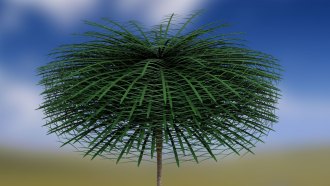 A computer rendering of a tree with a thin, beige trunk and layers of long, palm-like leaves extending from the top in a circle.