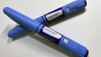 Shown are two blue injectable pens of a drug called Saxenda, the brand name for a molecule called liraglutide that is used to treat diabetes and obesity.